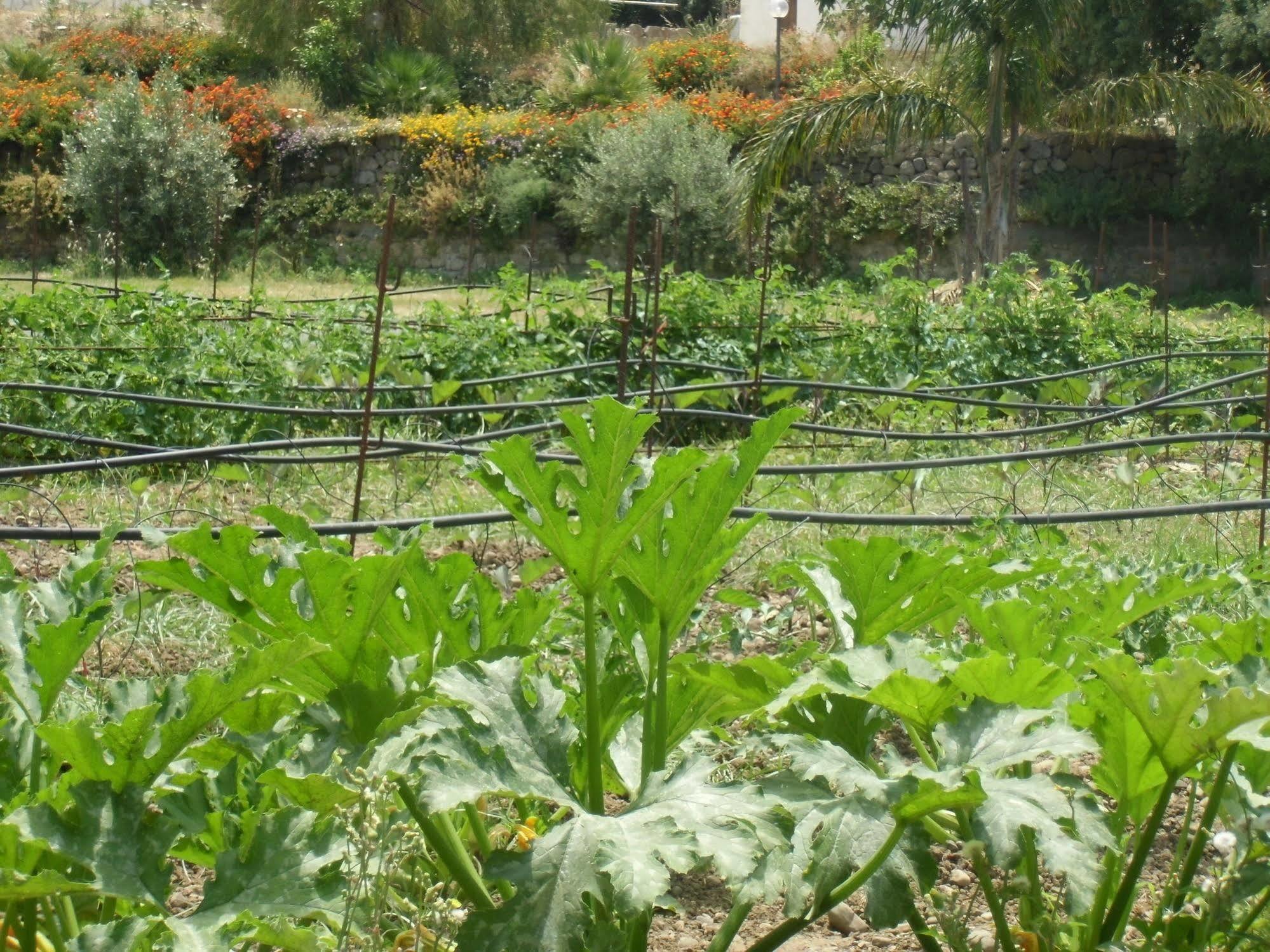 Stella Di Sicilia Villa San Fratello ภายนอก รูปภาพ